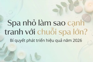 Spa Nhỏ Làm Sao Cạnh Tranh Với Chuỗi Spa Lớn? Bí Quyết Phát Triển Hiệu Quả ăm 2026